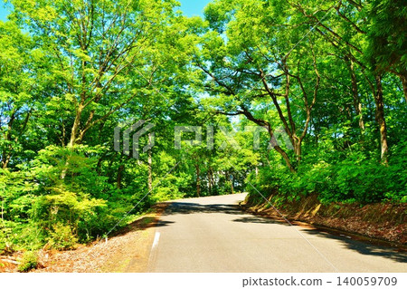 小千屋山本山高原森林公路的景色,被清新的綠色植物環繞。 小千屋山本山高原森林公路的景色,被清新的綠色植物環繞。 140059709