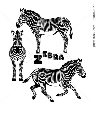 Monochrome zebra set. Hand drawn. Not AI, vector illustration. Monochrome zebra set. Hand drawn. Not AI, vector illustration. 140060032