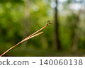 尺蠖 140060138