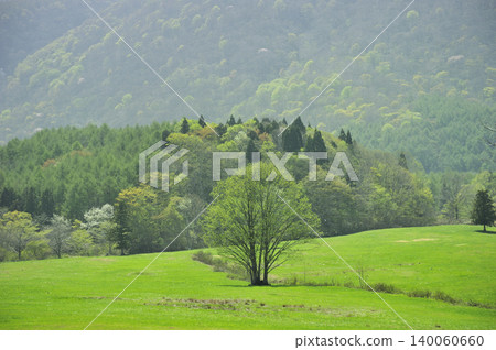 The lush green Kurohime Plateau The lush green Kurohime Plateau 140060660