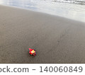 海灘上散落著山茶花 140060849