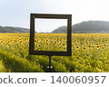 An endless field of sunflowers stretching under the summer sky. 140060957