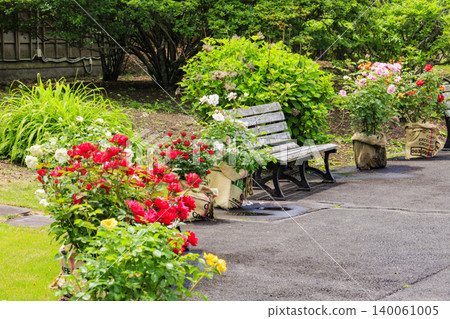 Nakanojo Gardens: Rose Garden in Full Bloom Nakanojo Gardens: Rose Garden in Full Bloom 140061005