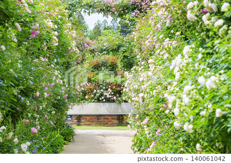 Nakanojo Gardens: Rose Garden in Full Bloom Nakanojo Gardens: Rose Garden in Full Bloom 140061042