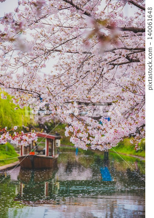 Kyoto Fushimi Jikkokubune Sakura Kyoto Fushimi Jikkokubune Sakura 140061648