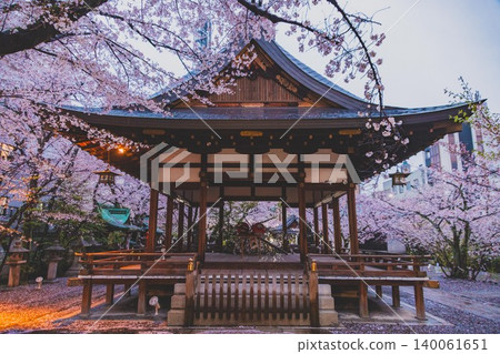天神神社,滋賀縣大津市 - 櫻花 天神神社,滋賀縣大津市 - 櫻花 140061651