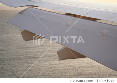 Wing Wing 140061948