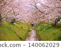 京都鬆崎運河 - 櫻花 140062029