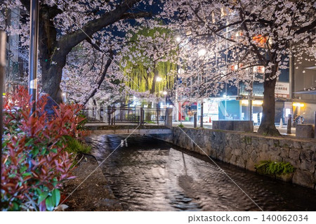 京都高瀨川夜景櫻花 京都高瀨川夜景櫻花 140062034