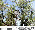 Vintage street lamp through trees. 140062087