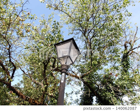 Vintage street lamp through trees. 140062087