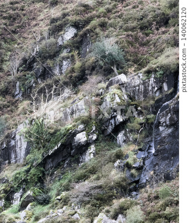 A steep rocky hillside is covered in patches of green moss, shrubs, and scattered trees. A steep rocky hillside is covered in patches of green moss, shrubs, and scattered trees. 140062120