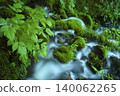 A clear stream winds through moss-covered rocks. 140062265