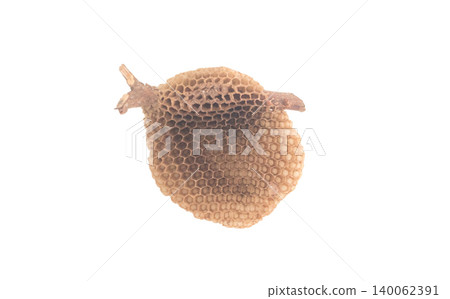 An old yellow beehive on a dry branch, with a white background. 140062391