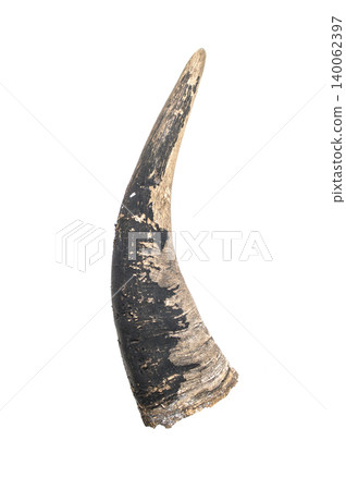 Horn, old and cracked.  isolated on white background 140062397