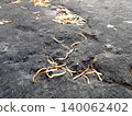 Dried plant debris on dark surface. 140062402