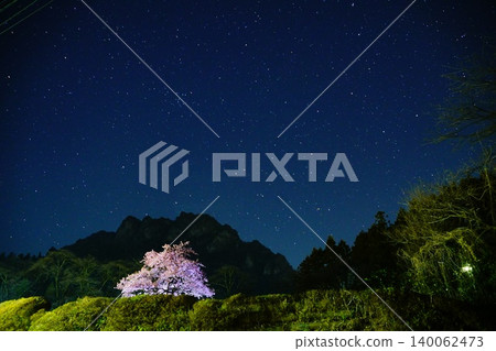 星空和櫻花 星空和櫻花 140062473