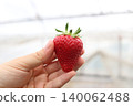 我手裡拿著一顆熟透的草莓 140062488
