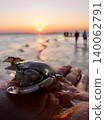 Sunset over the African sea 140062791