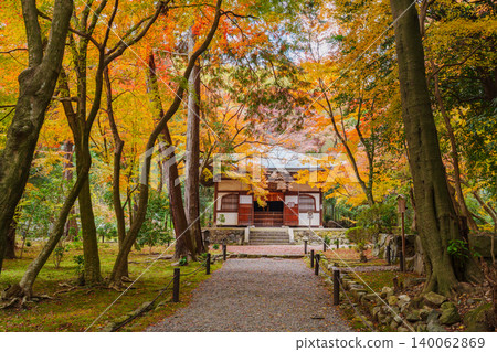 The approach to Jizo-in Temple, surrounded by autumn leaves. The approach to Jizo-in Temple, surrounded by autumn leaves. 140062869