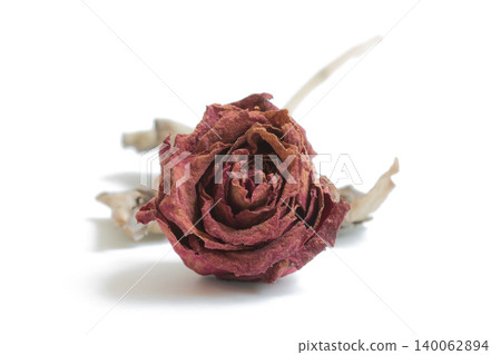 Close-up withering red roses on white background Close-up withering red roses on white background 140062894