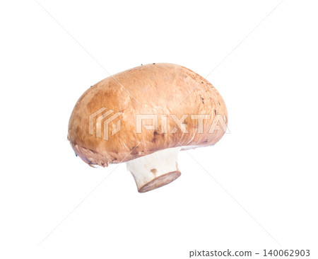 close up champignon mushroom isolated on white background close up champignon mushroom isolated on white background 140062903