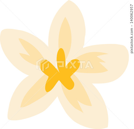 soft vanilla flower for spring botanical themes and suited to spa branding invitations and nature inspired design soft vanilla flower for spring botanical themes and suited to spa branding invitations and nature inspired design 140062957