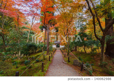 The approach to Jizo-in Temple, surrounded by autumn leaves. 140062986