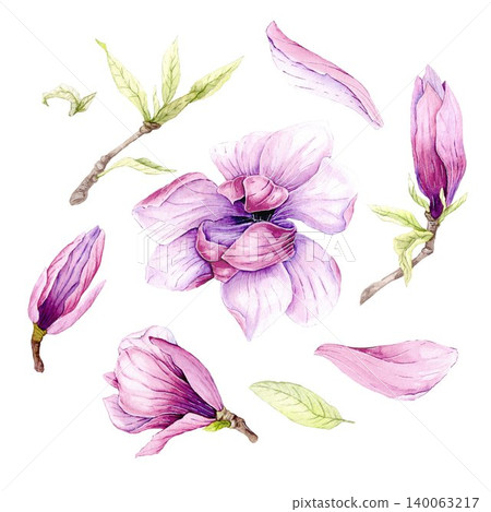 Watercolor illustration of Magnolia flowers, hand-drawn. Watercolor illustration of Magnolia flowers, hand-drawn. 140063217