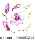 Watercolor illustration of Magnolia flowers, hand-drawn. 140063218