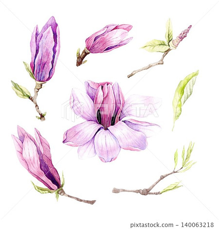 Watercolor illustration of Magnolia flowers, hand-drawn. Watercolor illustration of Magnolia flowers, hand-drawn. 140063218