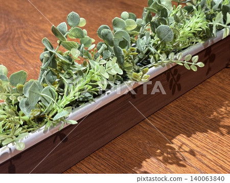 室內植物在桌子上 室內植物在桌子上 140063840