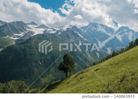 Lush green hillside with scattered trees facing impressive glacier covered mountains on a bright day Lush green hillside with scattered trees facing impressive glacier covered mountains on a bright day 140063933