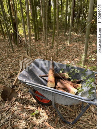 Bamboo shoots, a spring ingredient Bamboo shoots, a spring ingredient 140064093