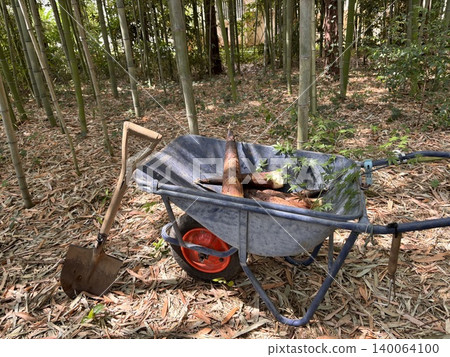 Bamboo shoots, a spring ingredient Bamboo shoots, a spring ingredient 140064100