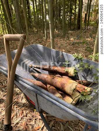 Bamboo shoots, a spring ingredient Bamboo shoots, a spring ingredient 140064105