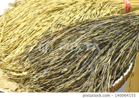 Thai rice paddy arranging in bamboo tray on table Thai rice paddy arranging in bamboo tray on table 140064155