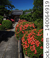 京都永生院的五月杜鵑 140064919