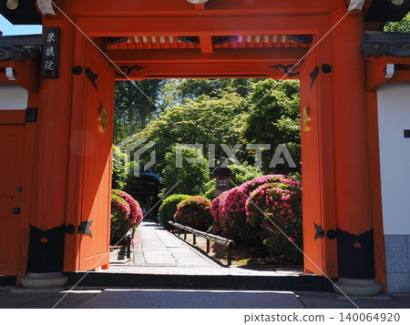京都永生院的五月杜鵑 140064920