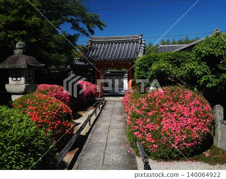 京都永生院的五月杜鵑 京都永生院的五月杜鵑 140064922