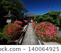 京都永生院的五月杜鵑 140064925
