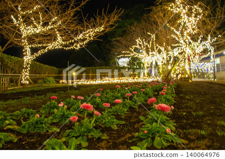 Illuminations [Enoshima] 140064976