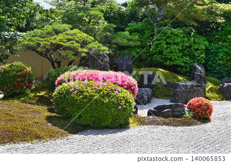 五月,京都大德寺光林院方丈(住持住處)美麗的庭院。 五月,京都大德寺光林院方丈(住持住處)美麗的庭院。 140065853