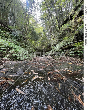 A quiet stream flowing deep in the forest and a landscape of moss-covered rock faces. A quiet stream flowing deep in the forest and a landscape of moss-covered rock faces. 140065958
