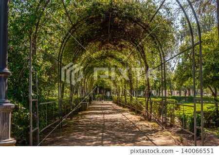 Sunlit Garden Arcade Sunlit Garden Arcade 140066551