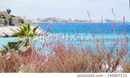 Scenic coastal view with pink flowers, palm trees, turquoise ocean, and city skyline in the distance - peaceful nature and travel landscape from Tenerife, Canary Islands Scenic coastal view with pink flowers, palm trees, turquoise ocean, and city skyline in the distance - peaceful nature and travel landscape from Tenerife, Canary Islands 140067535
