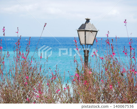Vintage street lamp surrounded by pink flowers with turquoise ocean in the background - peaceful coastal scene from Tenerife, Canary Islands Vintage street lamp surrounded by pink flowers with turquoise ocean in the background - peaceful coastal scene from Tenerife, Canary Islands 140067536