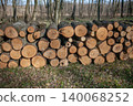 Pile of tree logs prepared for firewood in the forest 140068252