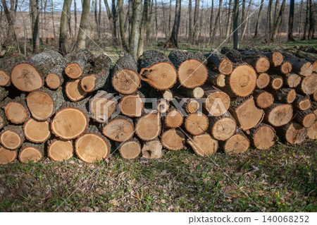 Pile of tree logs prepared for firewood in the forest 140068252