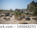 Large boulders on the sand surrounded by bushes 140068255